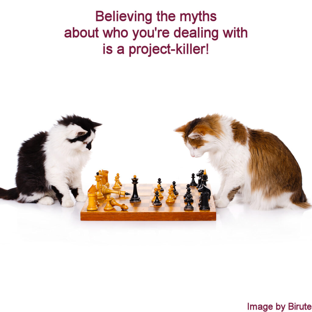 two cats playing chess against the white background